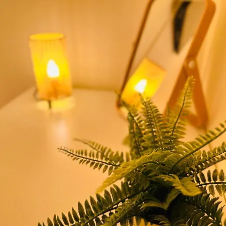 Le Stanze Di Piazza Cairoli Bed & Breakfast Pisa