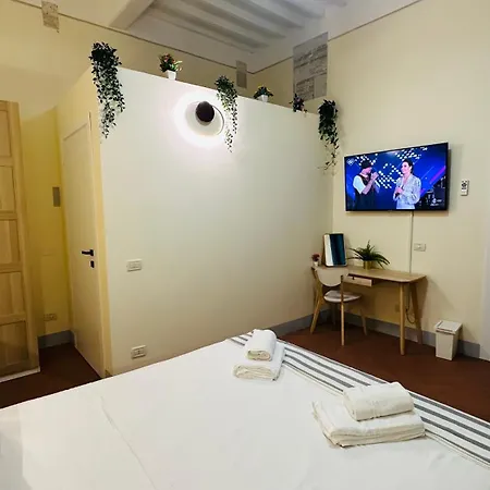 -di Piazza Cairoli 4* Pisa